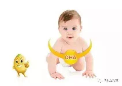 宝宝海藻油dha推荐,bioisland婴儿dha海藻油怎么样