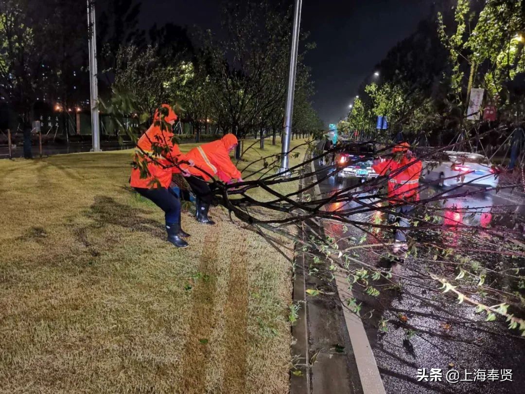 台风财产损失如何解决,台风天气车受损怎么办