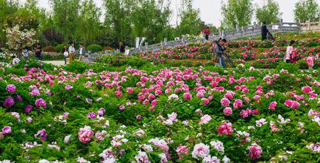 再过30天全世界都会羡慕中国的美,再过一个月全国都要羡慕昆明吗