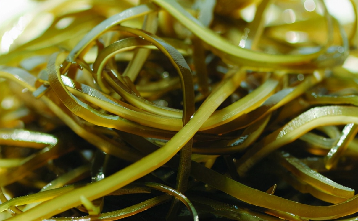 海带营养单一,海带吃得多有坏处吗