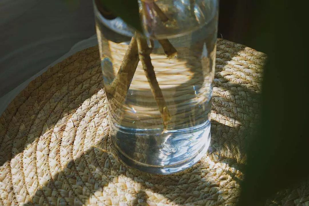 花港一楼茶楼,花港公园一元早茶