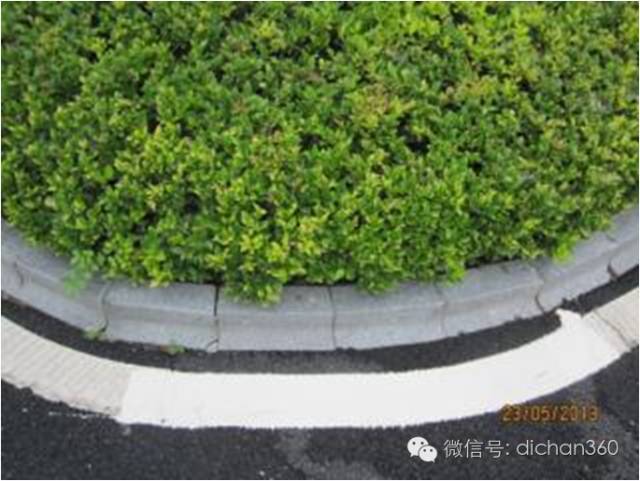 园林景观交付前十三道评估项,园林交付评估细节有哪些