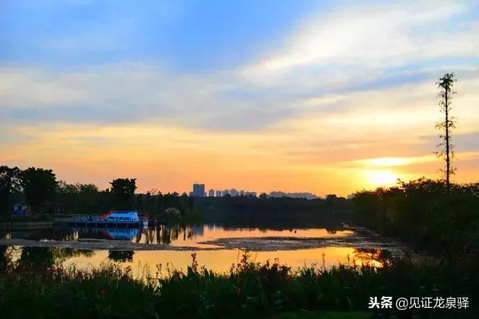 打卡青龙湖湿地公园,青龙湖湿地公园拍照技巧