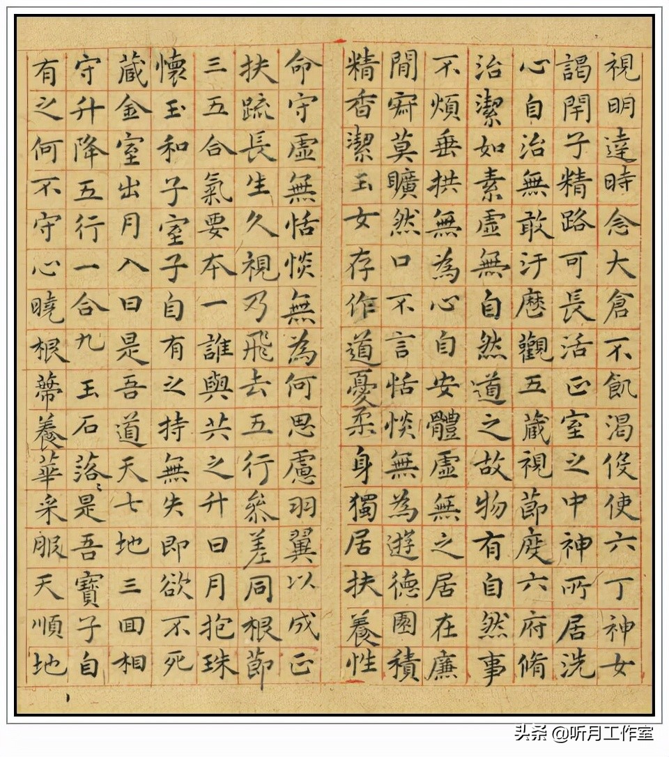 明朝祝允明草书前赤壁赋,明朝第一人祝允明书法