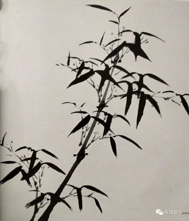 竹叶的画法模板,竹叶的钢笔画法