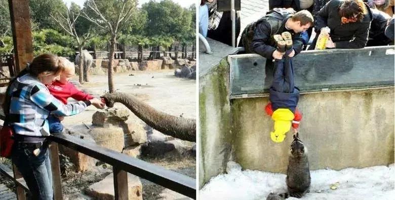 胖到抑郁又下不了决心减肥,胖到不想运动怎么办