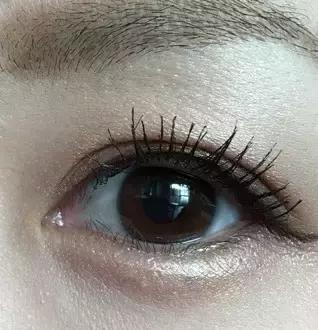 kate全线测评,kate新旧版本测评