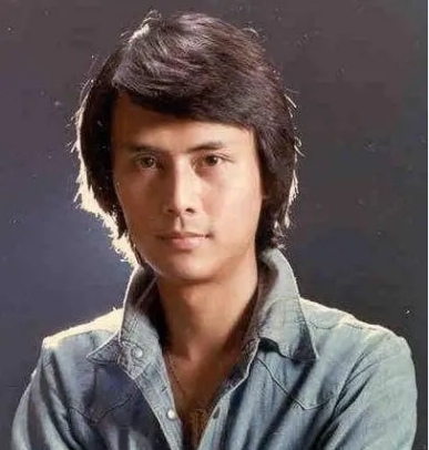 邓丽君成龙林青霞,林青霞邓丽君成龙说家乡话