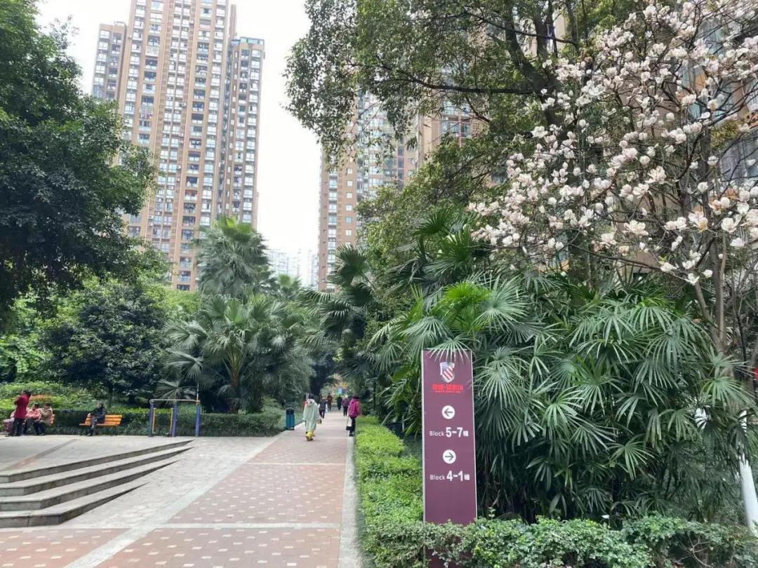 闄勮繎楂樻ゼ鐖嗙偢浜嬩欢,鍗楀潽鐏伨鍧犳ゼ