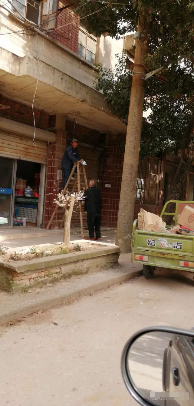 再访阿拉善,再访大理三塔