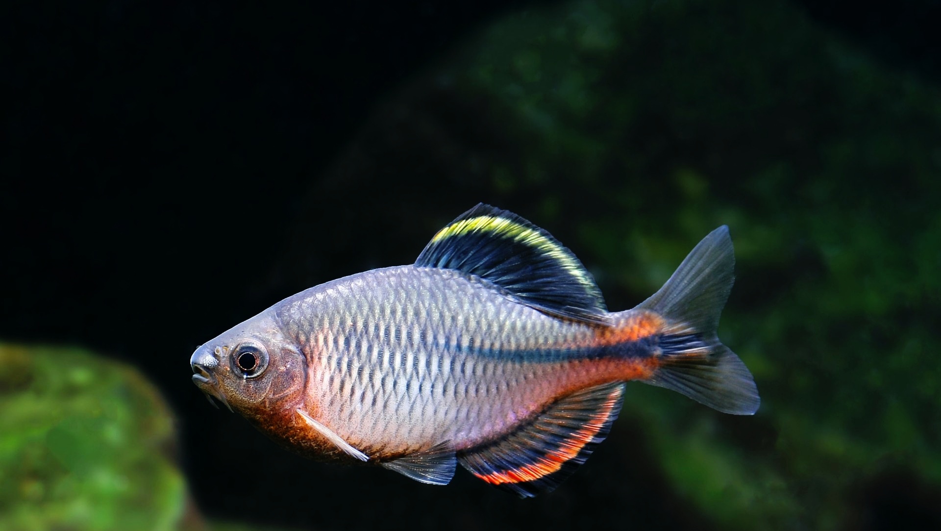 预算只有200元可以买一套路亚吗,预算只有200不在网上买能买什么