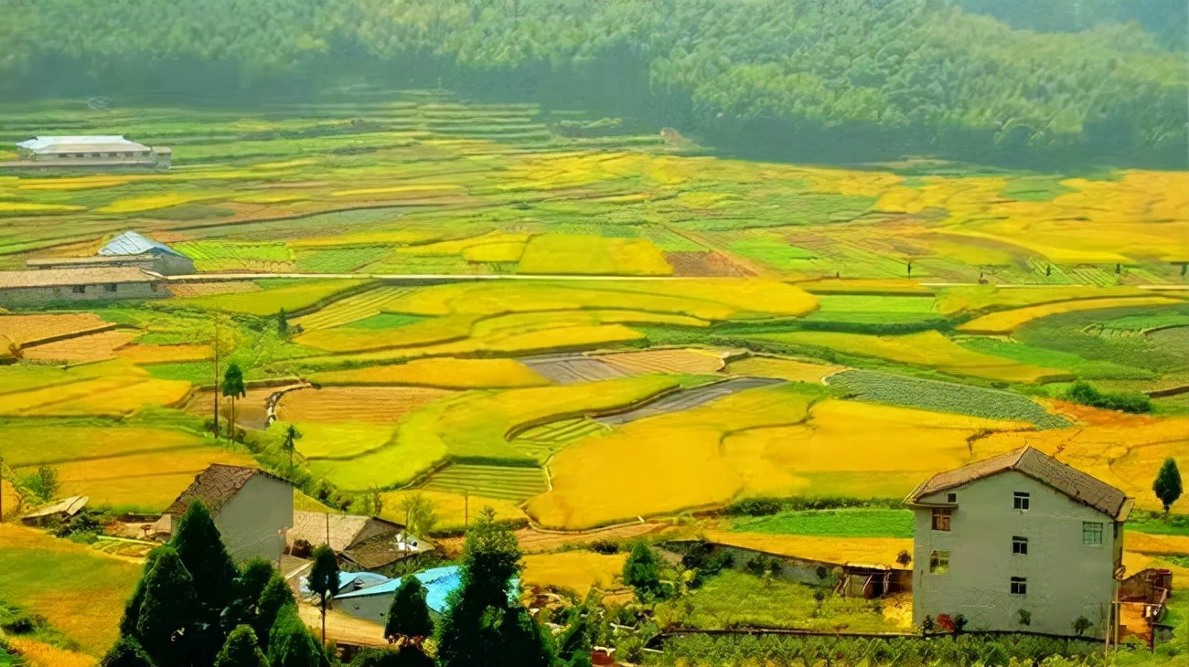 温州5个宝藏古村,温州宝藏打卡地
