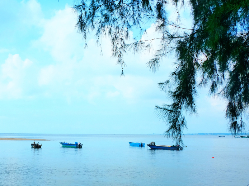 广东湛江旅游攻略赶海,湛江海边旅游攻略推荐地方