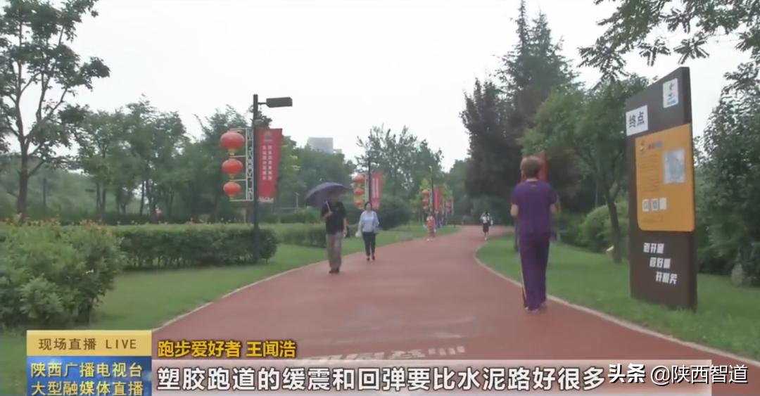 陕西广播电视台公共频道直播,陕西广播直播