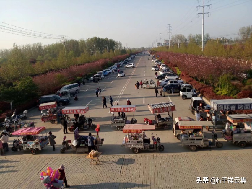 我的家乡商丘夏邑,夏邑又多一处美景有山有水还有花