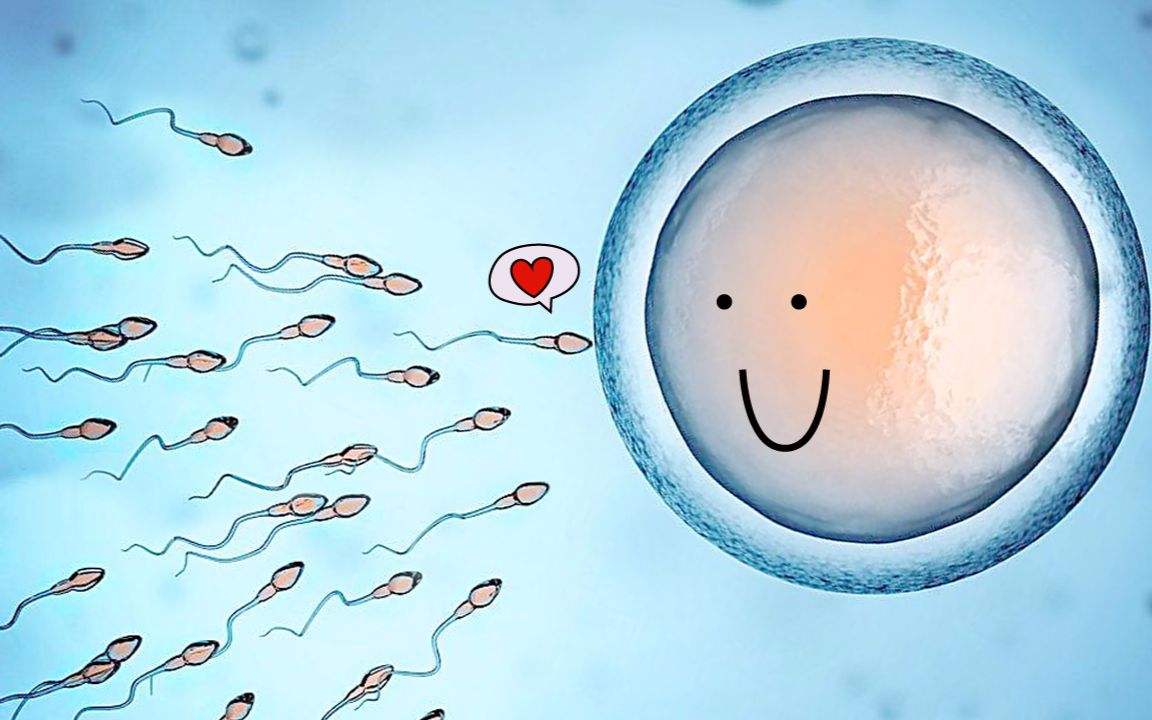 受精卵着床，女性身体会发出3种信号，这时候要注意的就多起来了