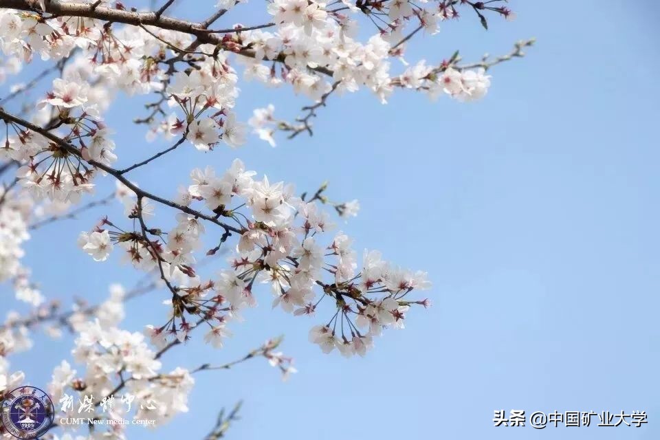 听好了!今天我们要夸矿大!