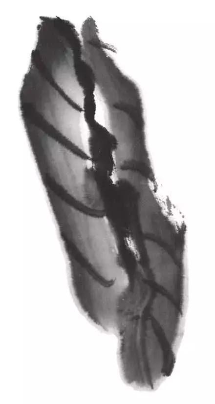 白描荷花的画法图片,如何画荷花国画白描