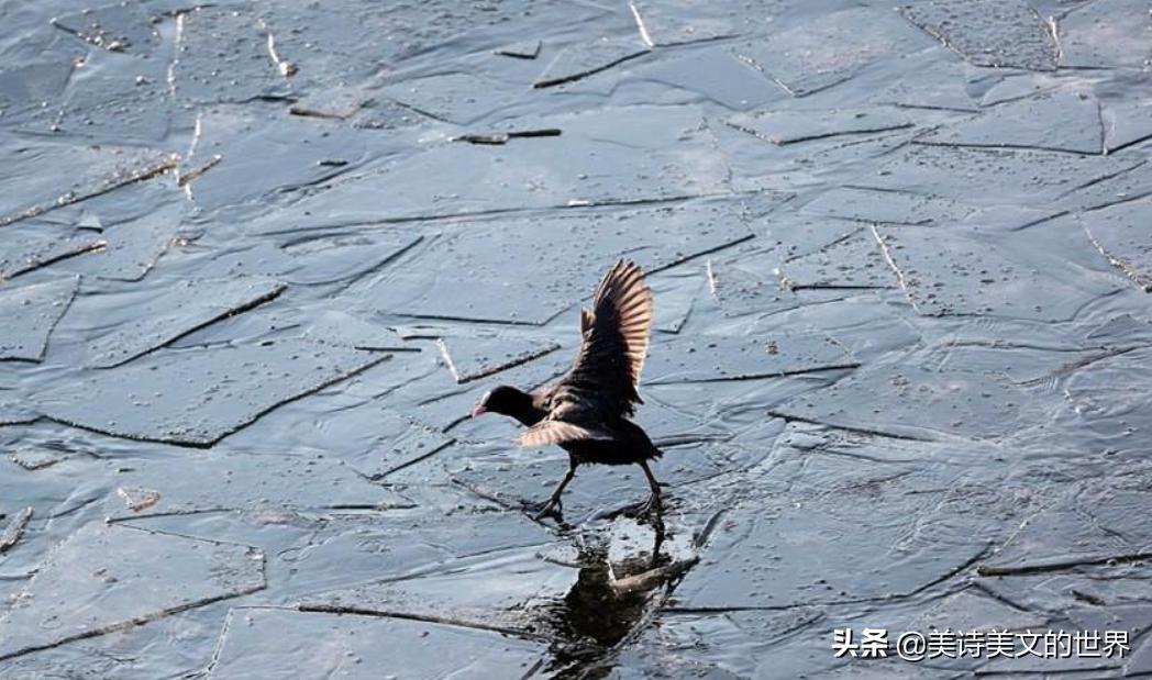 成语战战兢兢的意思,战战兢兢成语故事