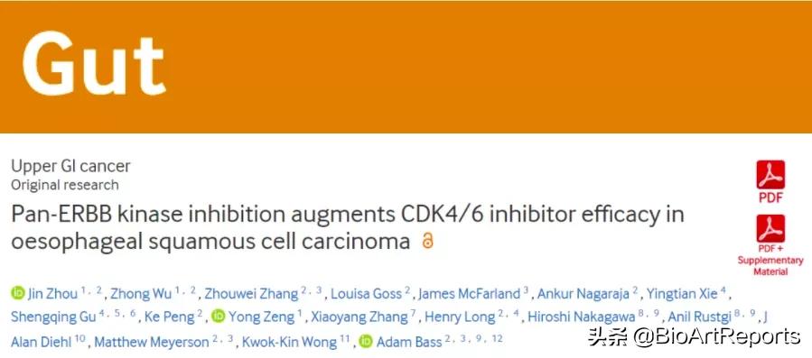 食管癌鳞癌最适合的靶向药,突破抗癌新药可以治疗多种癌症