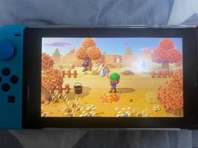 switch澳区买游戏,switch动物之森必买道具