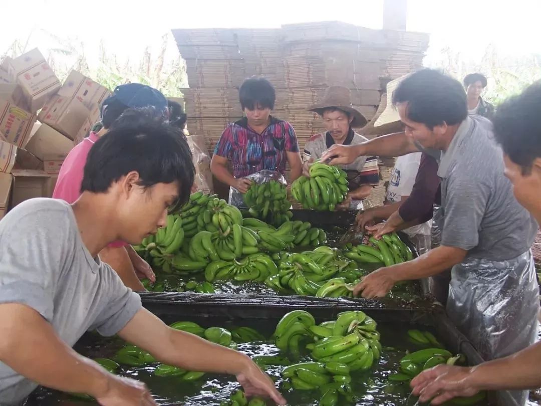 距海南20km有片处女地，比台湾风情比三亚便宜，路过都错过了