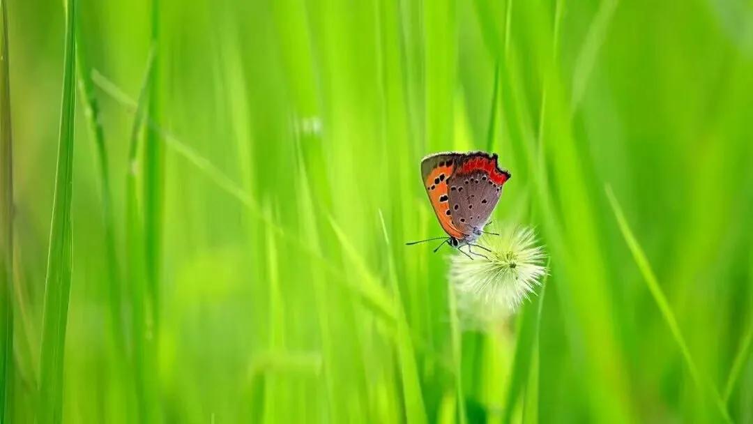 自律是品质还是性格,自律是一个人最高级的