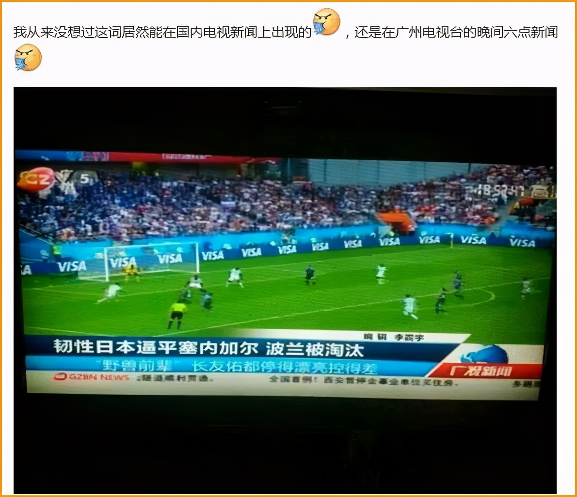 二次元有内鬼,二次元内鬼现身