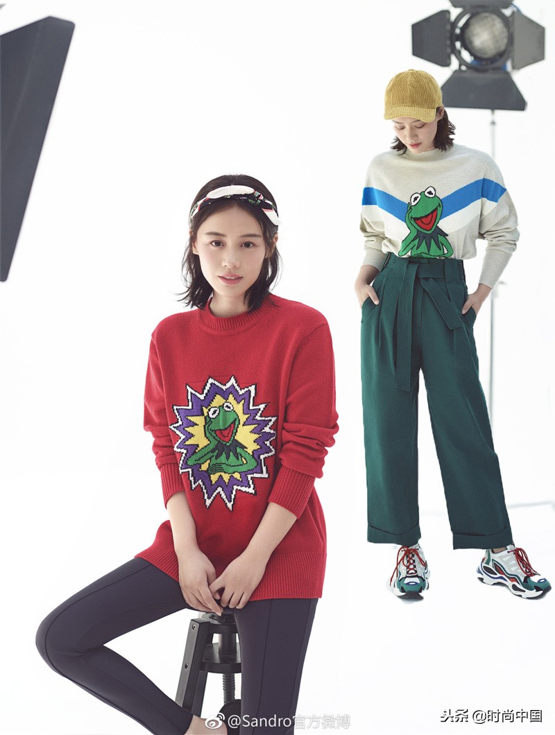 倪妮同款小猫咪,倪妮李宇春奇妙的动物