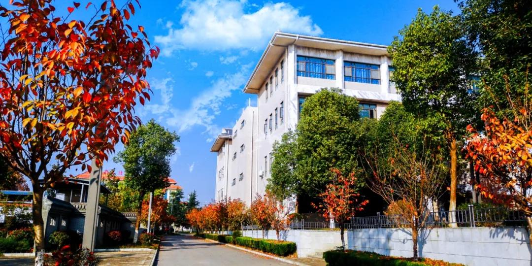 2023汉中中学招生标准,2022汉中中学招生简章