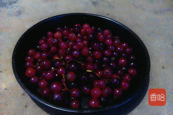 如何自制葡萄酒是最好的,如何自制葡萄酒的做法视频教程