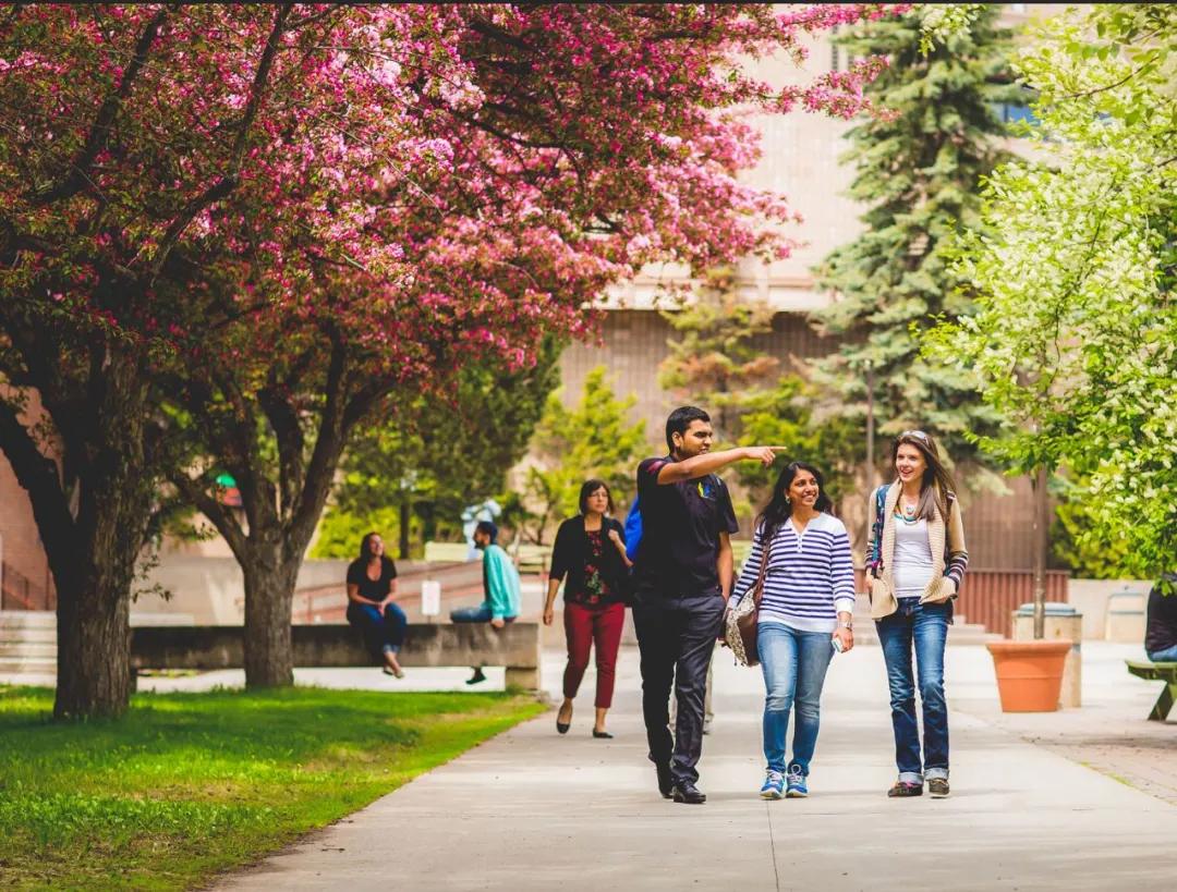 加拿大最好的十所大学排名,加拿大的大学前10名