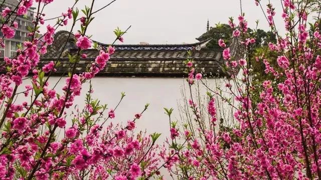 福州有什么好东西,福州有什么福利可以领