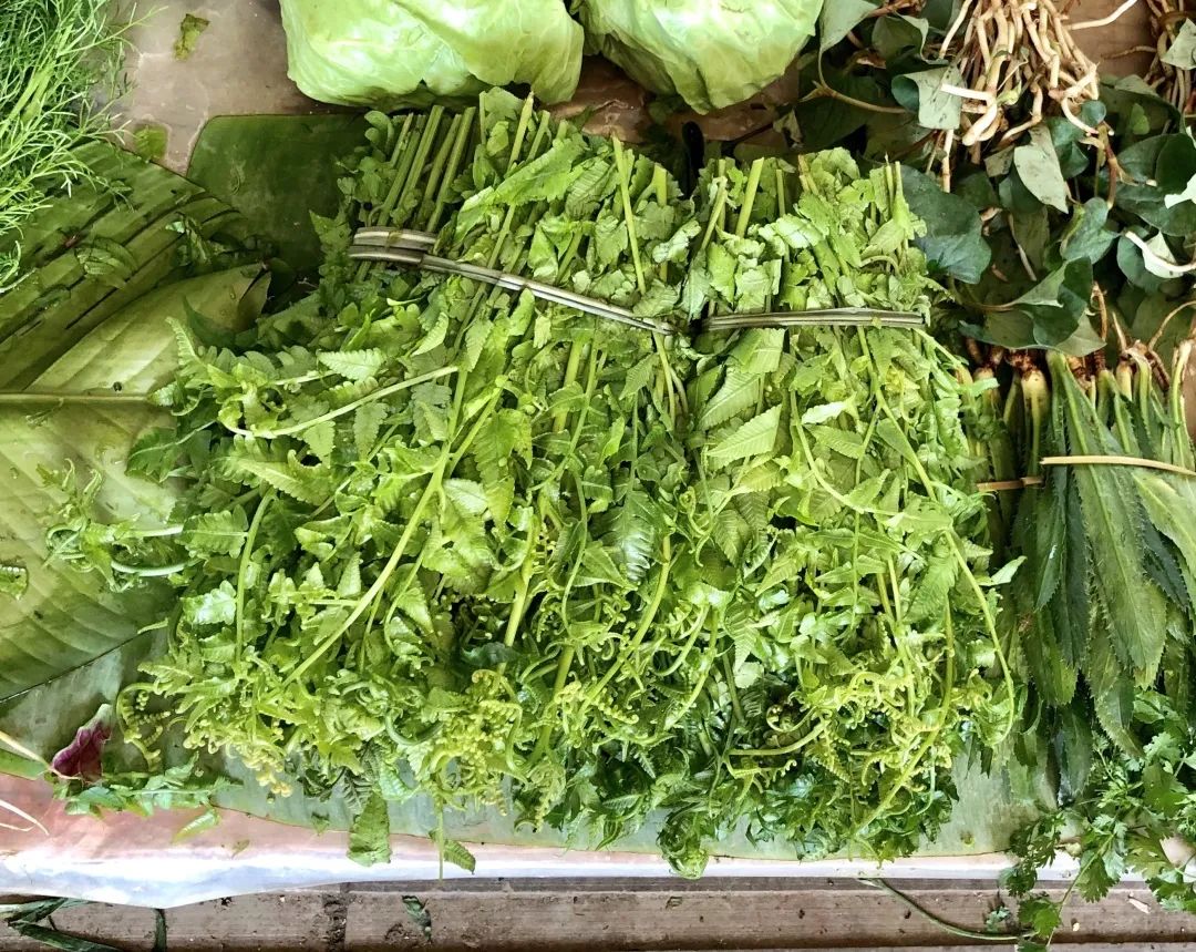云南人最认同的本地食材,外省人来云南没有见过的菜