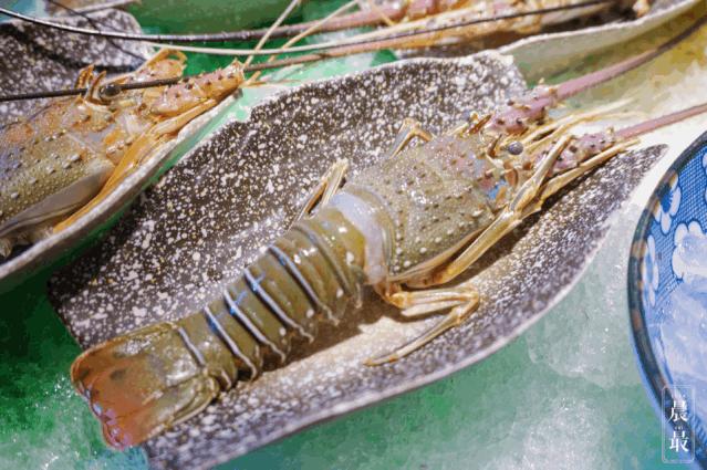 打卡魔都最火网红点,今日魔都网红打卡地点