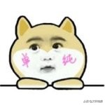 网赚项目思路大全,手赚网推荐项目