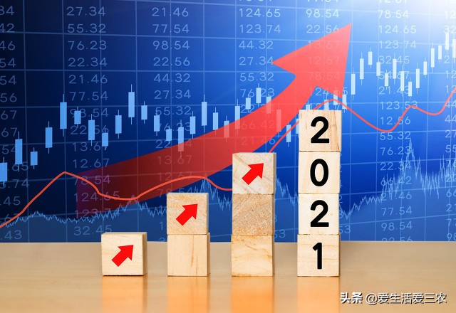 小青柑种植前景,种植佛手柑的经济效益