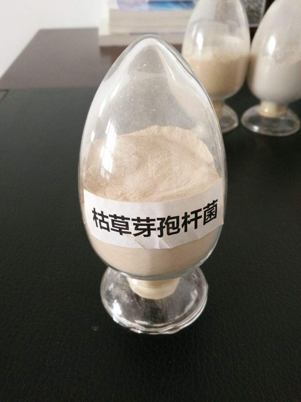 枯草芽孢杆菌在畜牧养殖的作用,枯草芽孢杆菌在水产养殖的作用