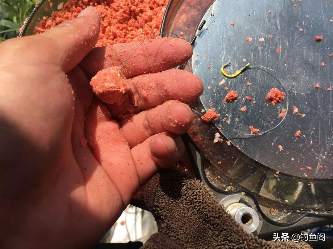 钓鲢鳙忽上忽下怎么办,钓鲢鳙上下浮动该怎么抓口