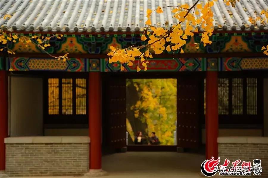 泰山风景区门票优惠到什么时候,泰山景区门票优惠政策介绍