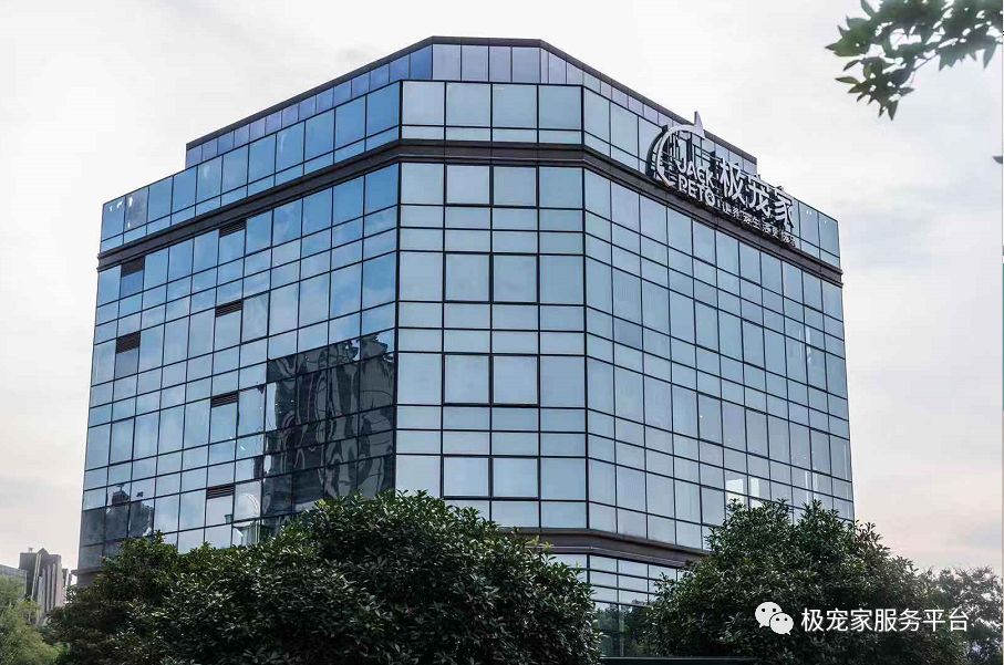 宠物比人吃得好,宠物比人金贵系列