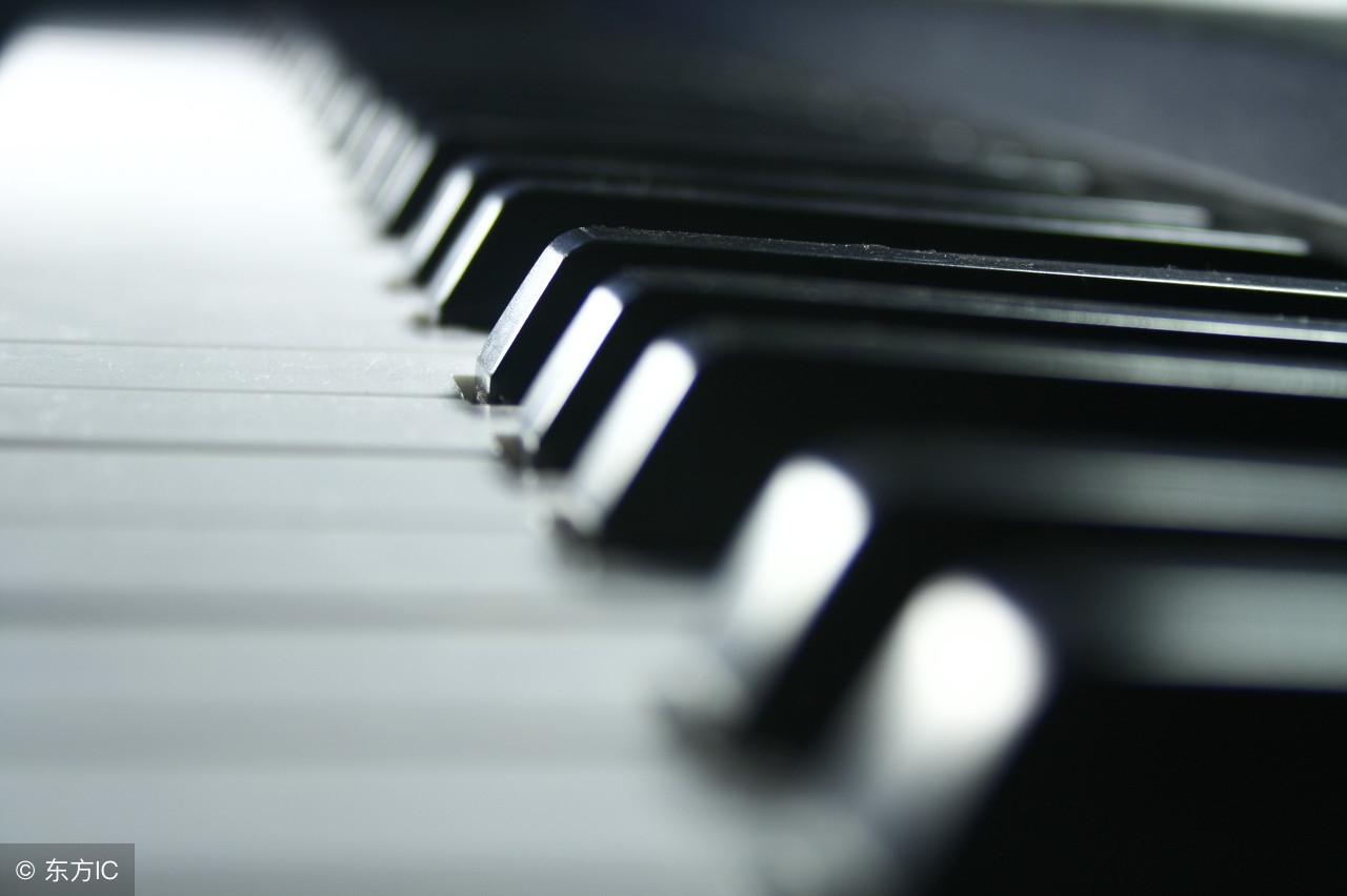 歌谱入门零基础知识电子琴,入门是先学电子琴还是直接学钢琴