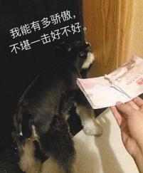 海外华人一定要注意安全,华人在海外要注意的三件事