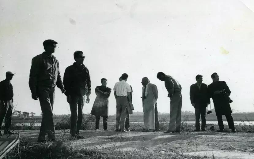 黑泽明经典电影,黑泽明电影解说