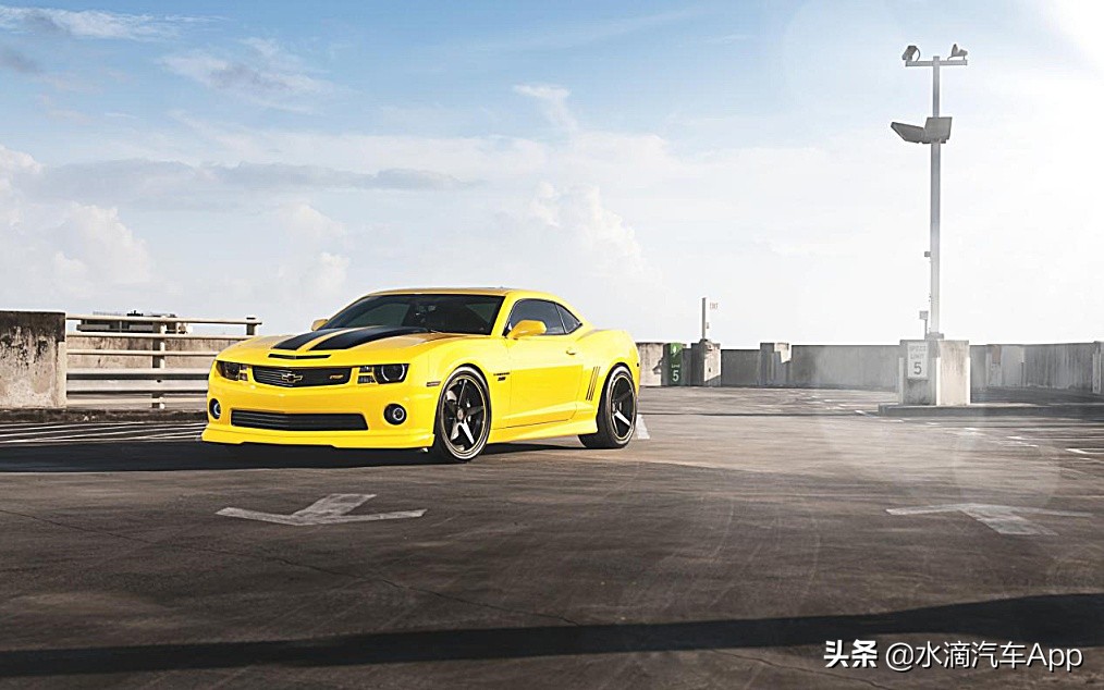 甲壳虫大黄蜂车型是什么,大黄蜂有甲壳虫车型吗