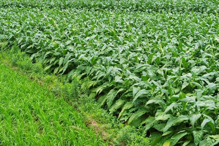 周末连城两日游，美景美食一路相伴