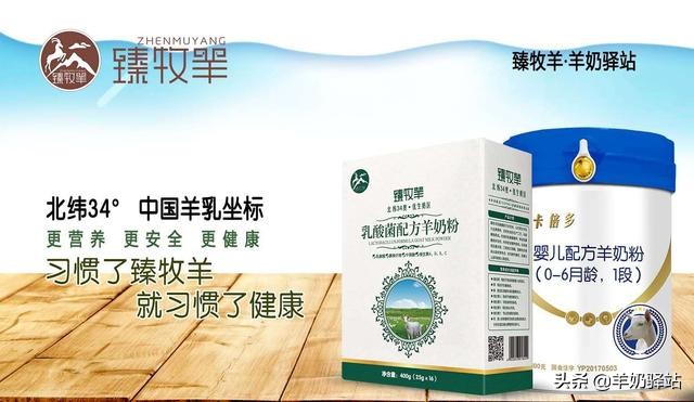 开一家奶粉店有前景吗现在,开一家奶粉专卖店赚钱吗