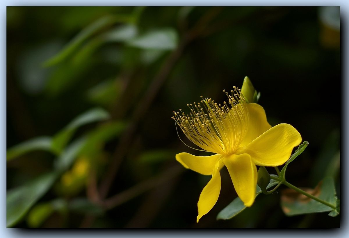 ps锐化图片提高真实感的方法,ps锐化和模糊有什么区别