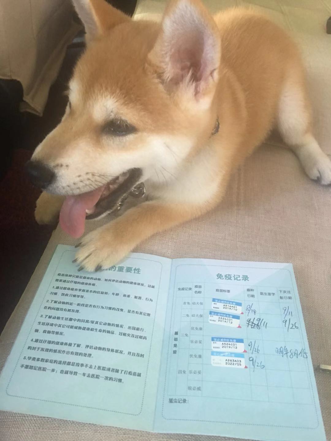 科普宠物常识大全书,科普宠物知识