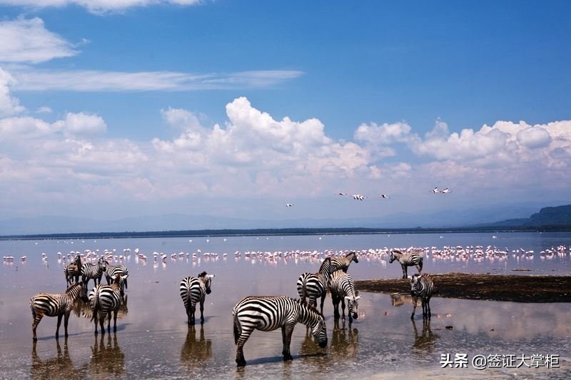 各国签证照片尺寸对照表,最新最全各国签证照片要求快收藏
